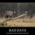 bad days