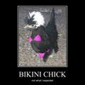 bikini chick