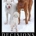 decisions