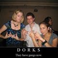 dorks have gangs