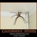 gianormous spiders
