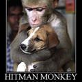 hitman monkey