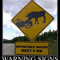 invincible moose