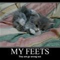 my feets