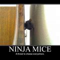 ninja mice