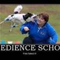 obedience school