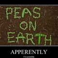 peas on earth