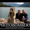 photobombers