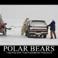 Motivational_pics-polar Bears