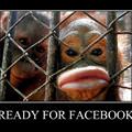 ready for facebook