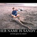 sandy