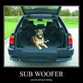 sub woofer