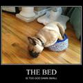 the bed