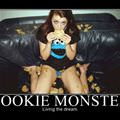 the cookie monster