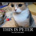 this is peter