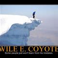 wile e coyote