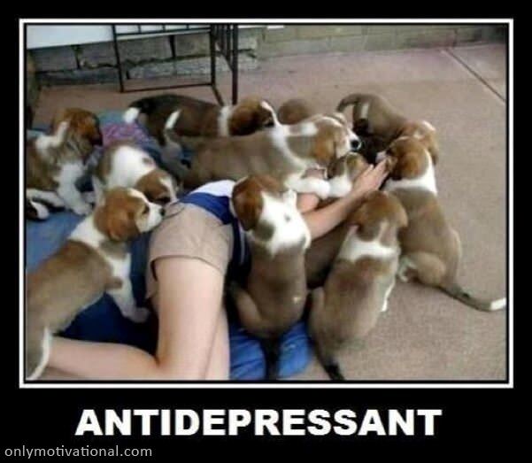 antidepressant