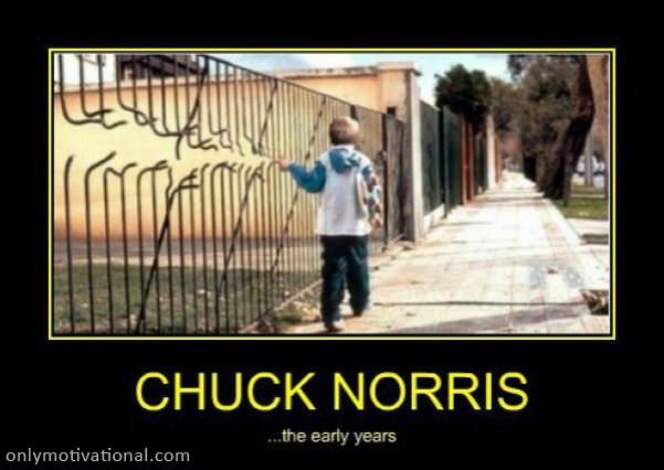 chuck norris