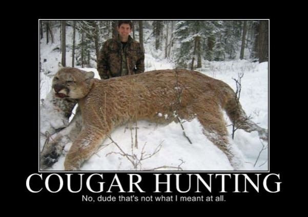 cougar hunting