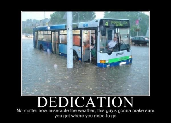 dedication