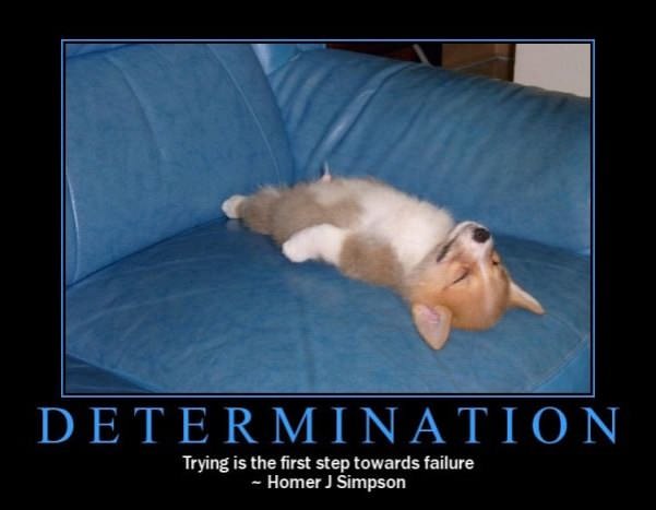 determination205