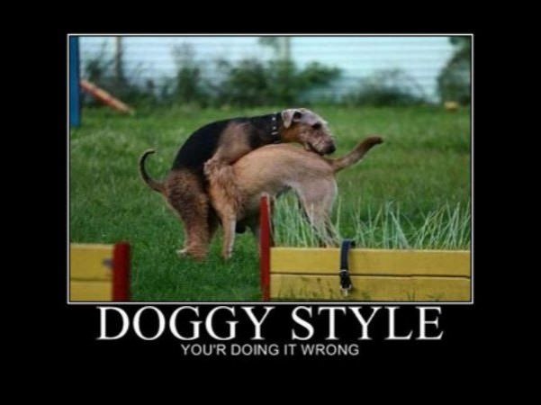 doggy style