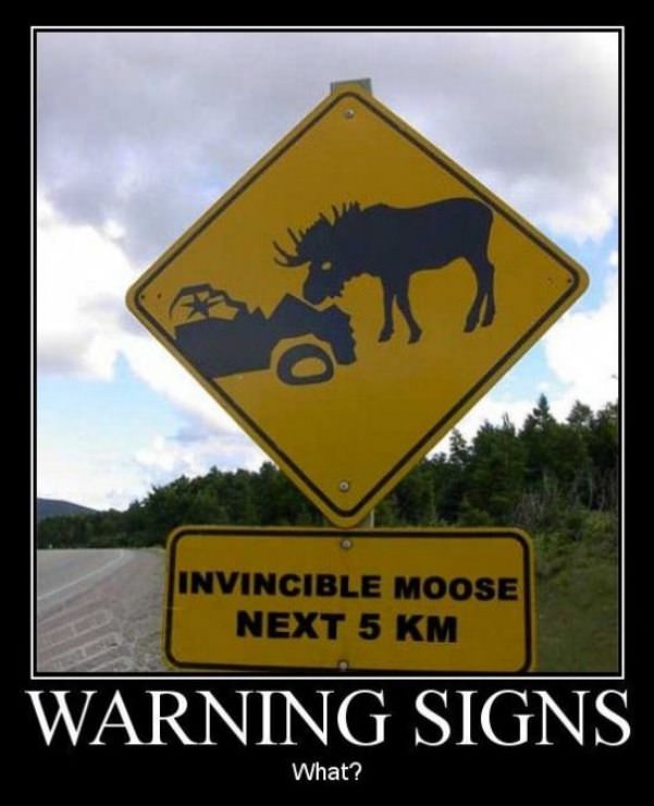 invincible moose