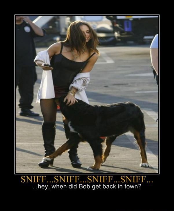 sniff sniff sniff