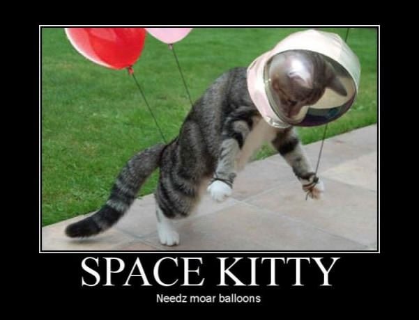 space kitty