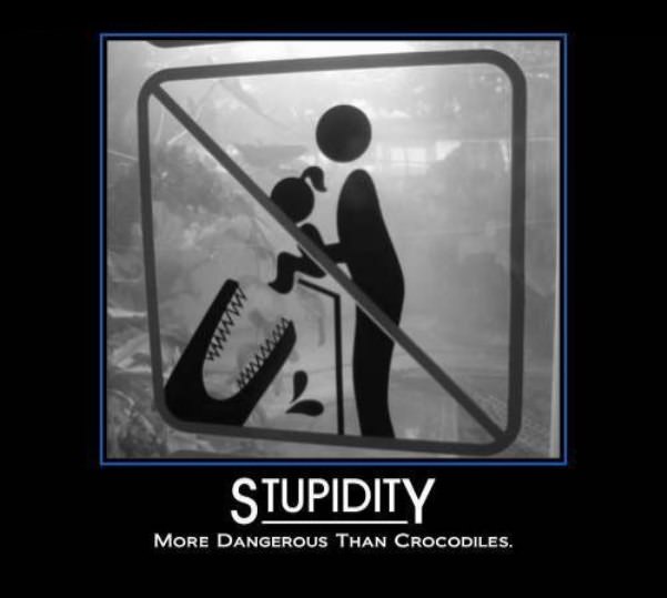 stupidity