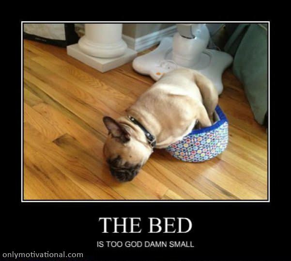 the bed