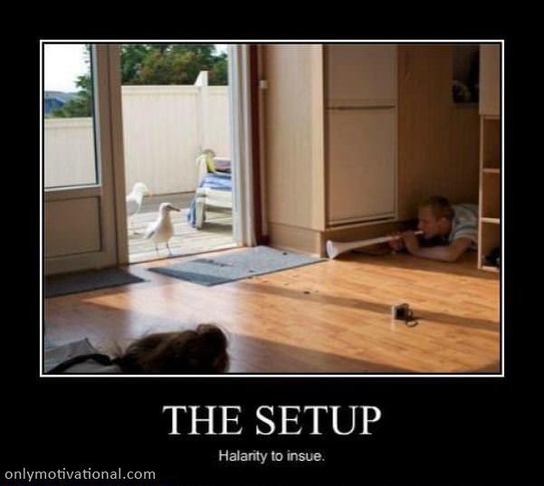 the setup