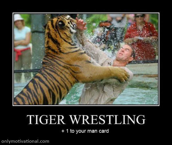 tiger wrestling