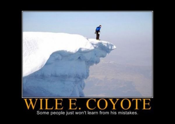 wile e coyote