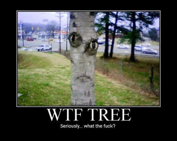 wtf tree