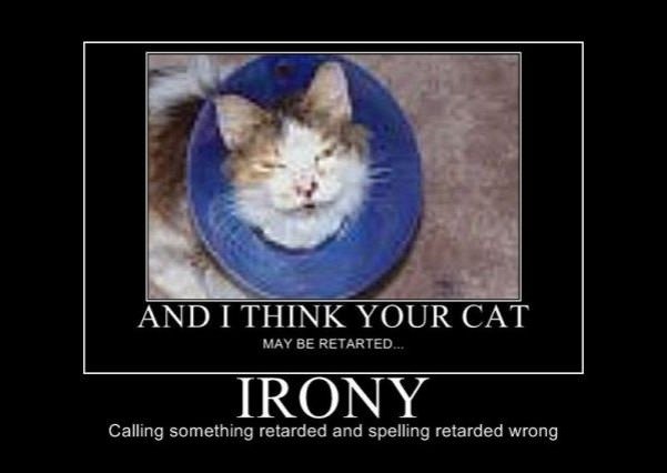 your cat