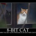 8 bit cat