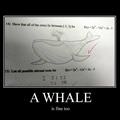 Motivational_pics-a Whale