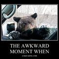 awkward moment