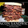 bacon sandwich