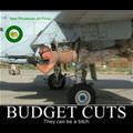 budget cuts