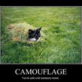 camoflage