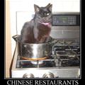 chinese restaurants