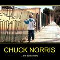 chuck norris