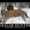 cougar hunting