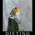 dieting bird