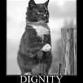 dignity