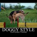 doggy style