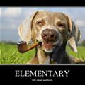 elementary