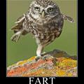 fart